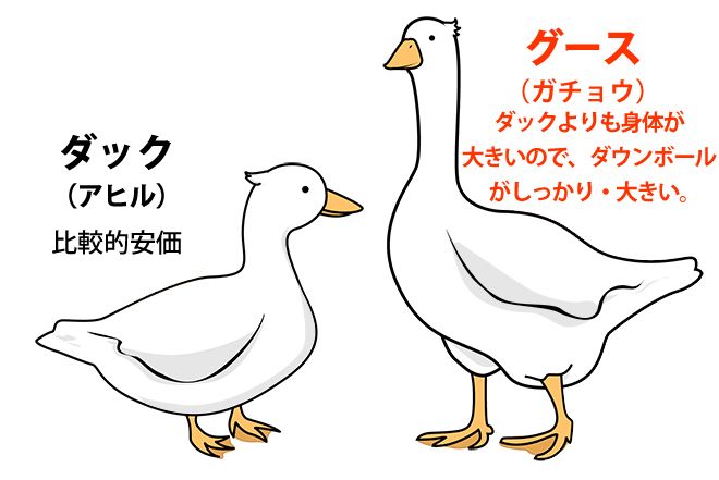 羽毛（ダウン）その1