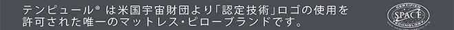 テンピュール20周年記念フェアその2